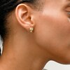 Diamond-Cut Panther Stud Earrings in 14K Gold