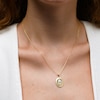 0.065 CT. T.W. Diamond Frame Virgin Mary Oval Medallion Pendant in Sterling Silver with 14K Gold Plate