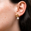 7.5-8.0mm Freshwater Cultured Pearl Flower Drop Earrings in Sculpted Hollow 14K Gold